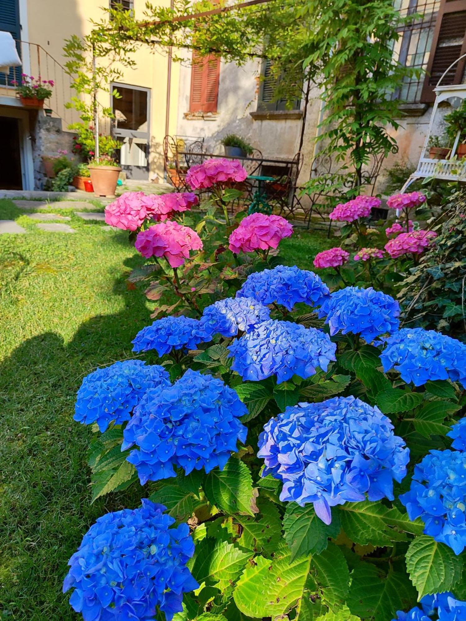Bed and Breakfast Casa Lumaca à Tremezzo Extérieur photo